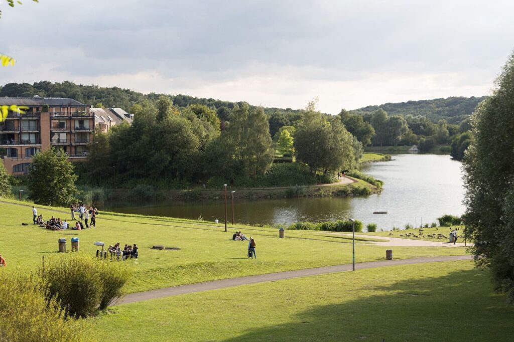 Lac de Louvain-la-Neuve, Vascer, Wikimedia Commons